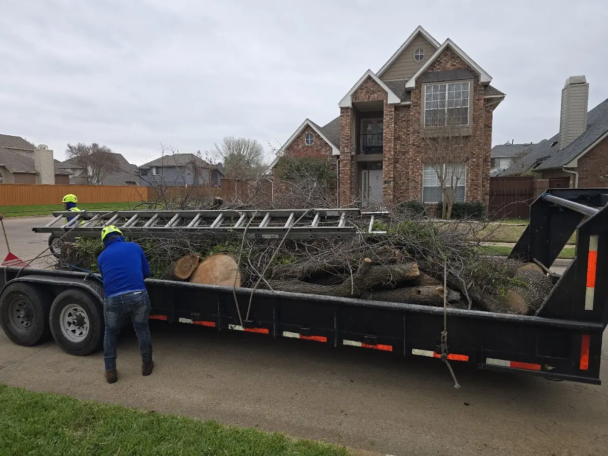 Expert Lot Clearing with proper safety equipment in Arco
